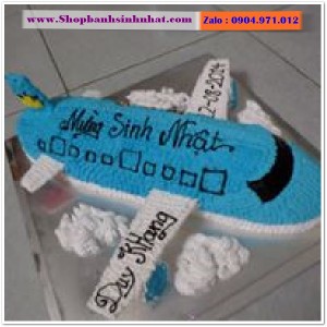 Bánh Sinh Nhật Máy Bay - MA07